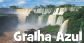 2016_SINERGIA_GRALHA AZUL